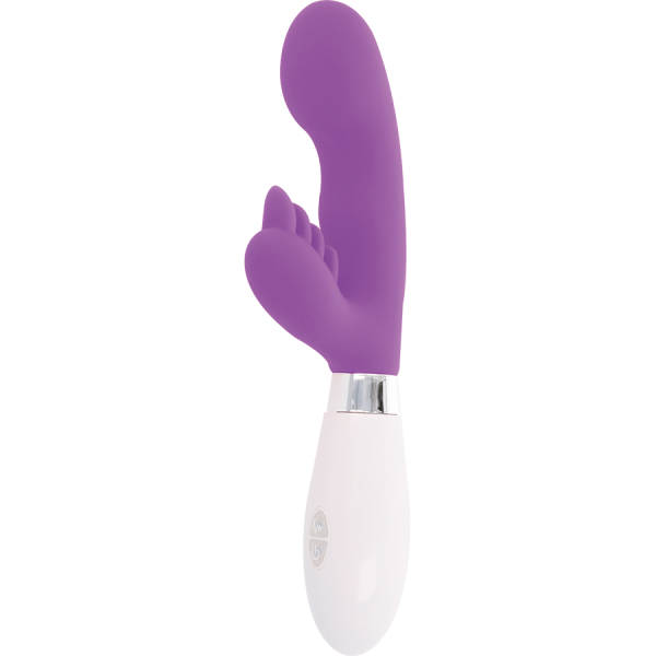 GLOSSY - LAPIN ELVIS VIOLET – Image 4